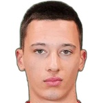 Elmando Gjini