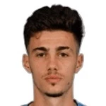 Nikola Mituljikic