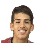 Agustín Palavecino