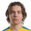 K. Koivunen