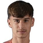 Bogdan Mircetic