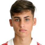 Pedro Andrade