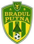 Bradul Putna