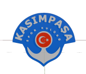 Kasimpasa U19 crest