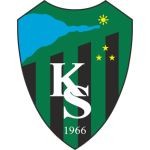 Kocaelispor U19 crest