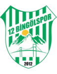 12 Bingölspor crest
