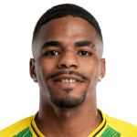 Pedro Henryque Pereira dos Santos