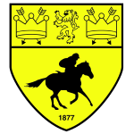 Newmarket Town - club crest