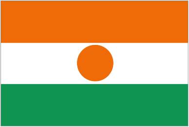 Niger - club crest